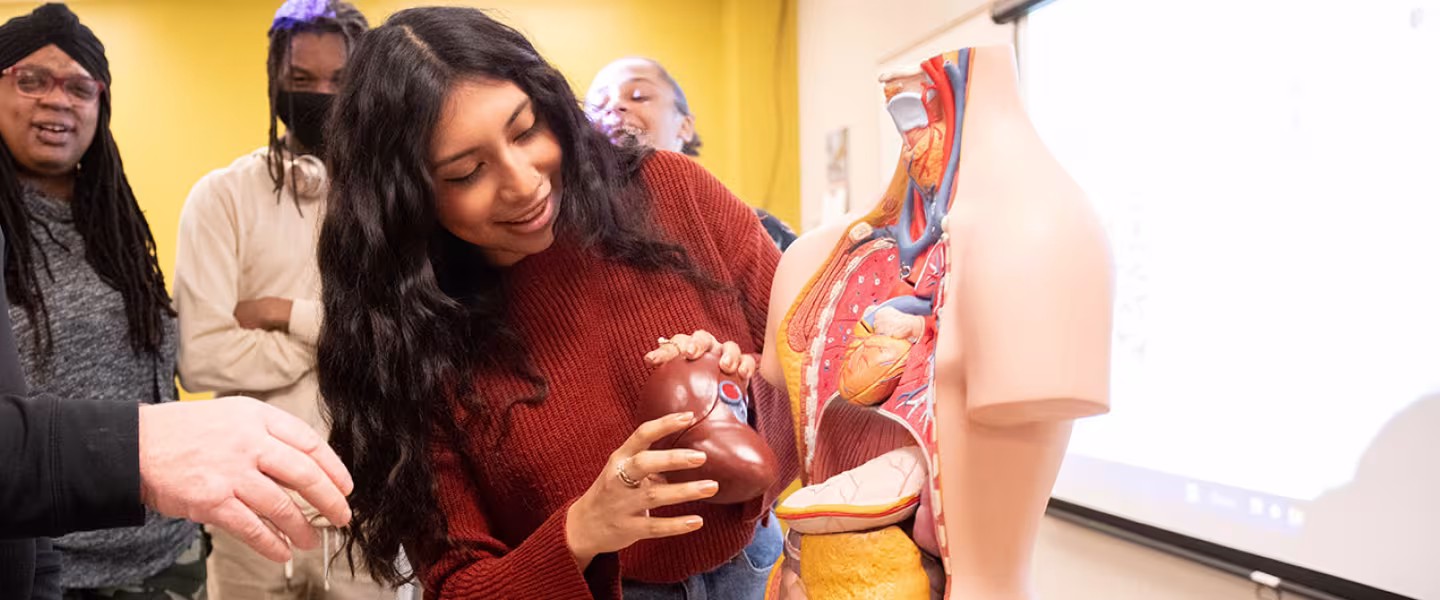 Medical Administrative Assistant students participating in classroom